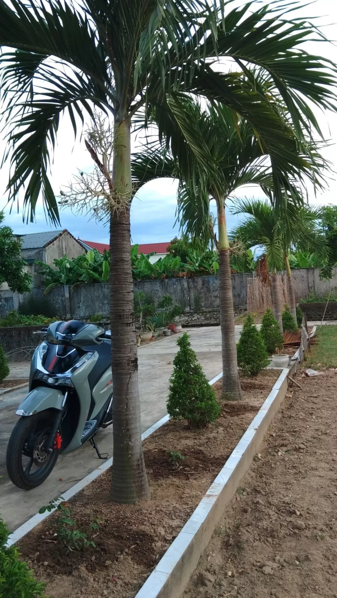 Vẻ đẹp quê hương