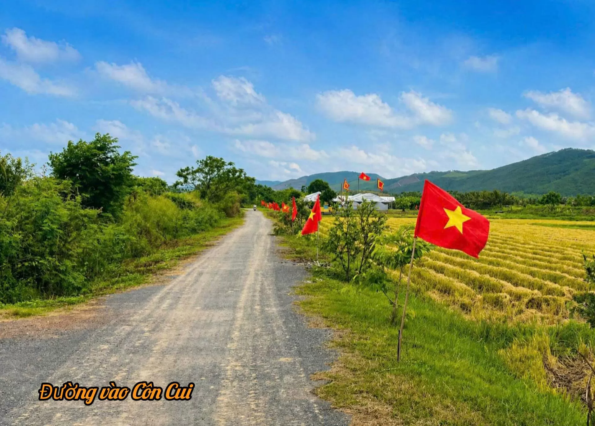 Một số hình ảnh lễ cúng Cồn Cui 2026