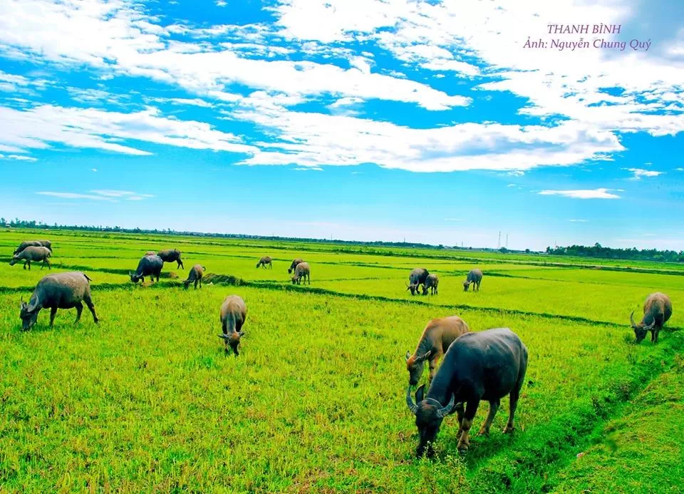 Mời anh về làng Hạ quê em