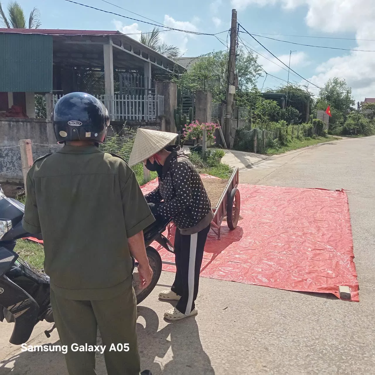 Ngày mùa và chuyện phơi lúa