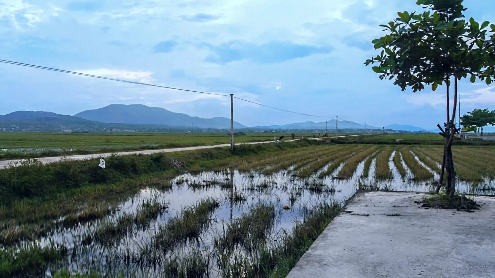 Quê tui, làng Hạ.