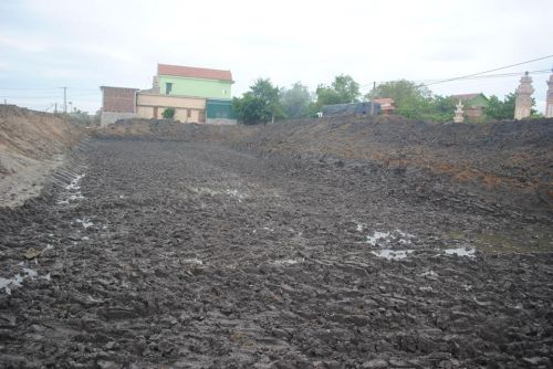 Tiếp tục thực hiện tu bổ, tôn tạo ao Đình