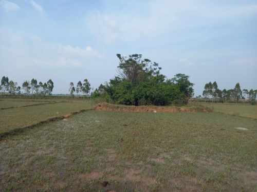 Sớm xây dựng lại chùa Cao Lao Hạ