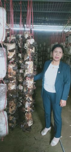 Thành công với mô hình trồng nấm