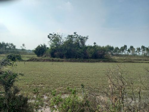 Lễ chùa đầu năm – nét đẹp tết Việt