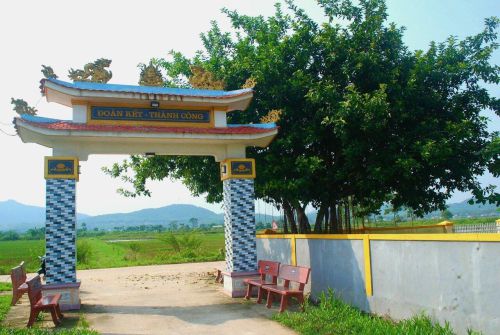 Hình ảnh một số cây đa làng tháng 10 năm 2023