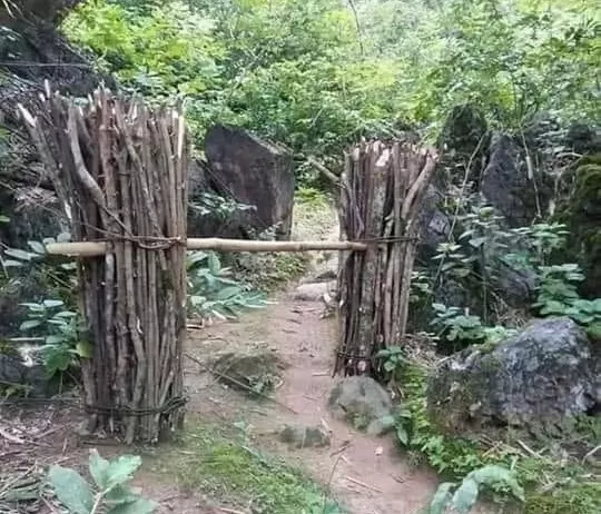 Gánh củi tuổi thơ