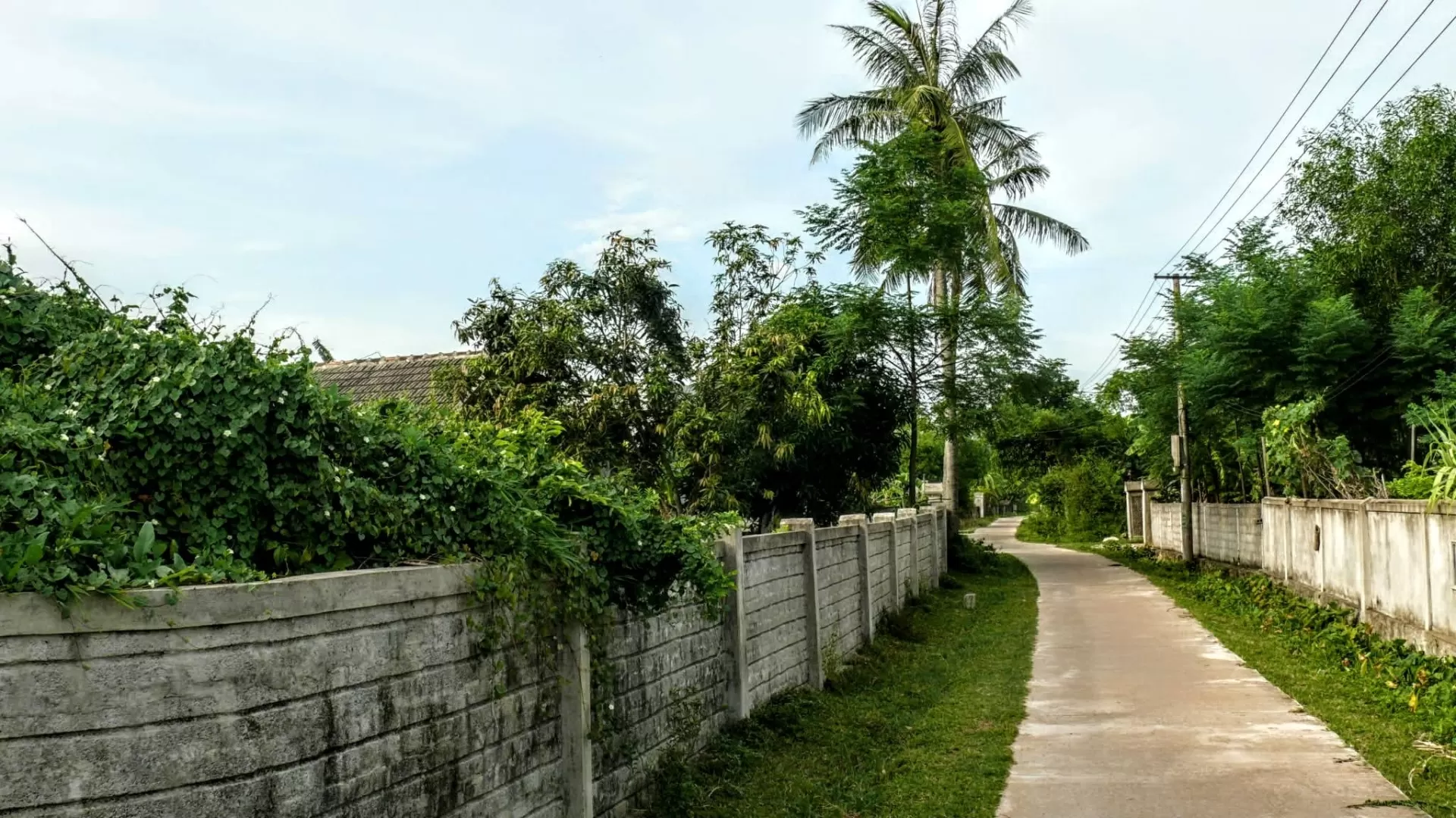 Xóm Đình của tui