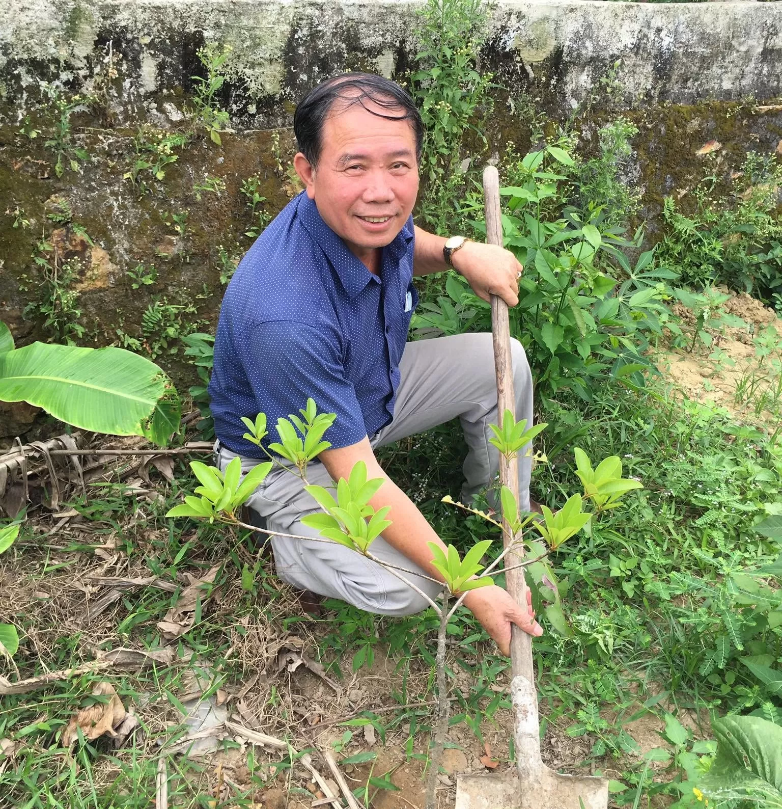 Trang báo quê mình