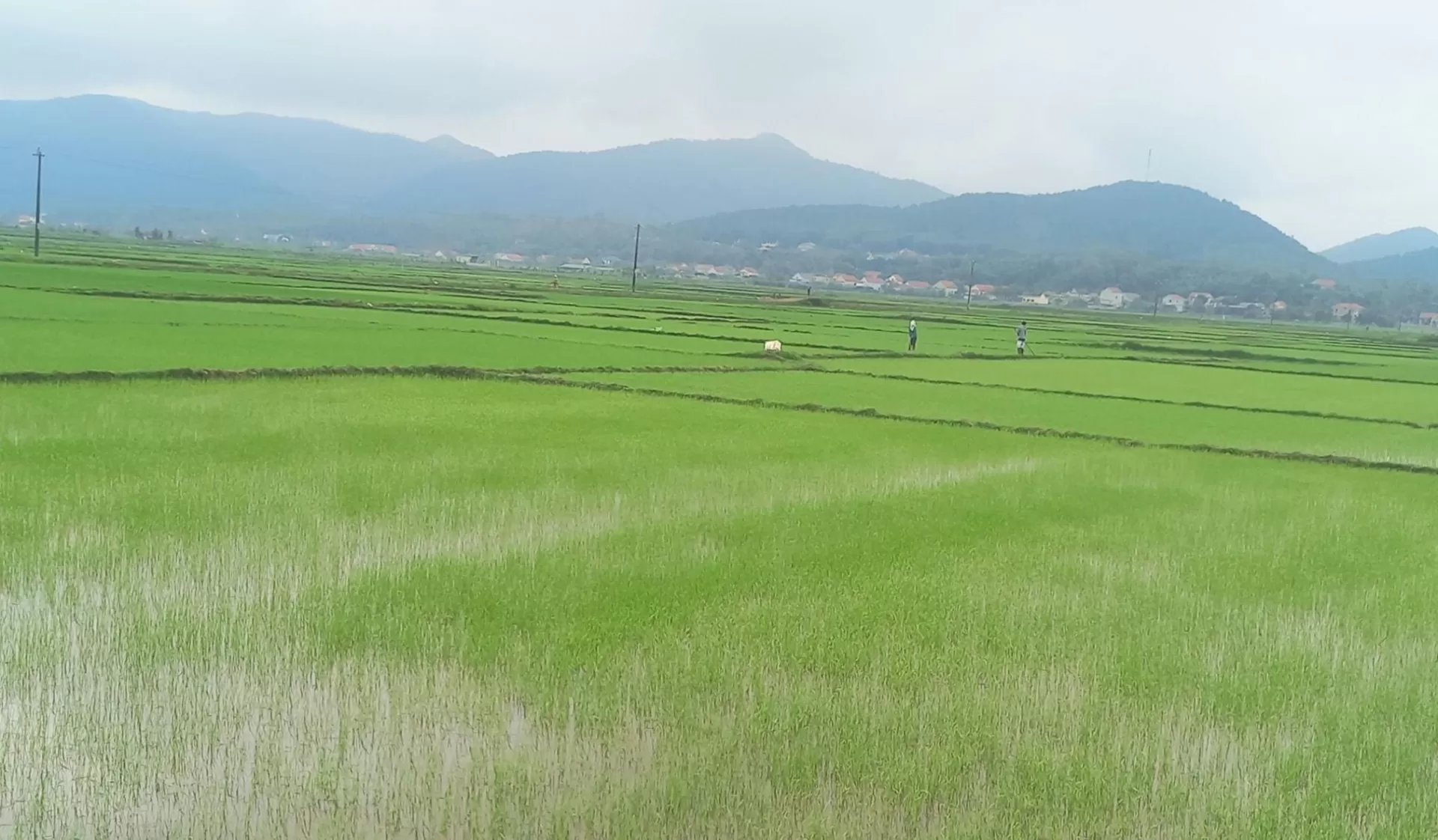 Kỷ niệm thời học sinh