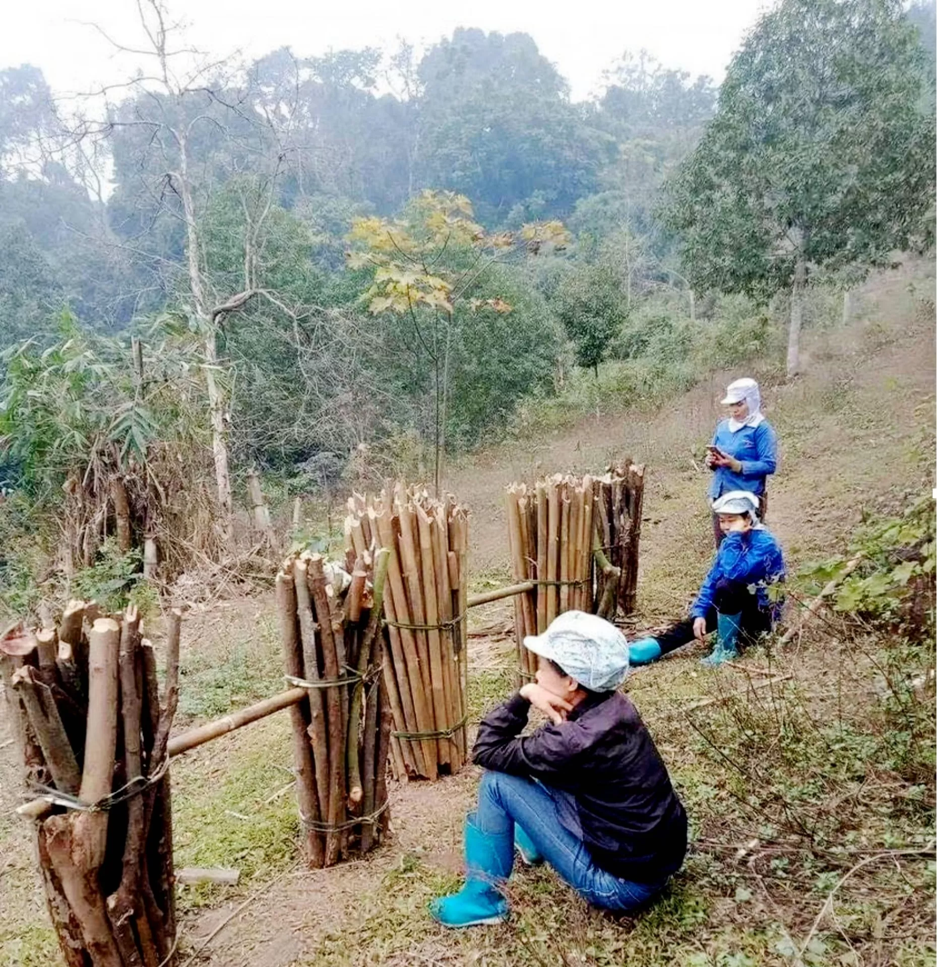Trở về với gánh củi tuổi thanh xuân