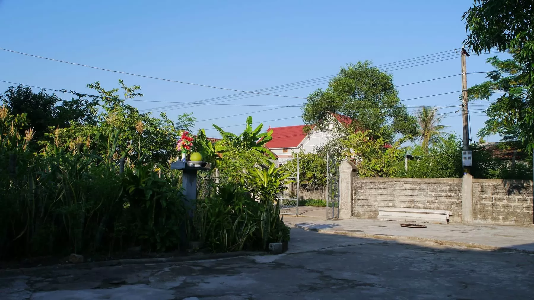 Vẻ đẹp quê hương